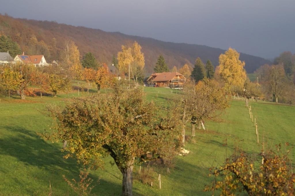 Vreni'S Gaestezimmer Himmelried Bagian luar foto
